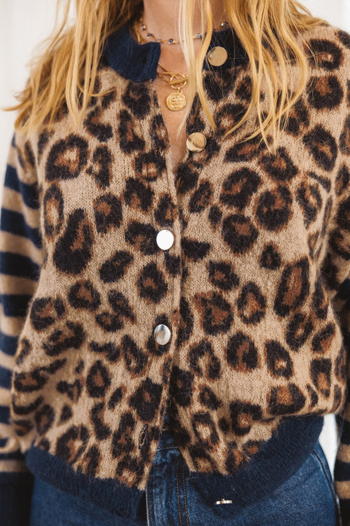 Blue and leopard striped Idole cardigan