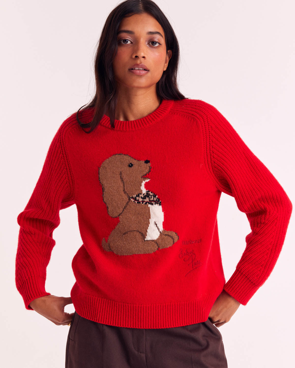 Barbour x BP Red Doug Sweater