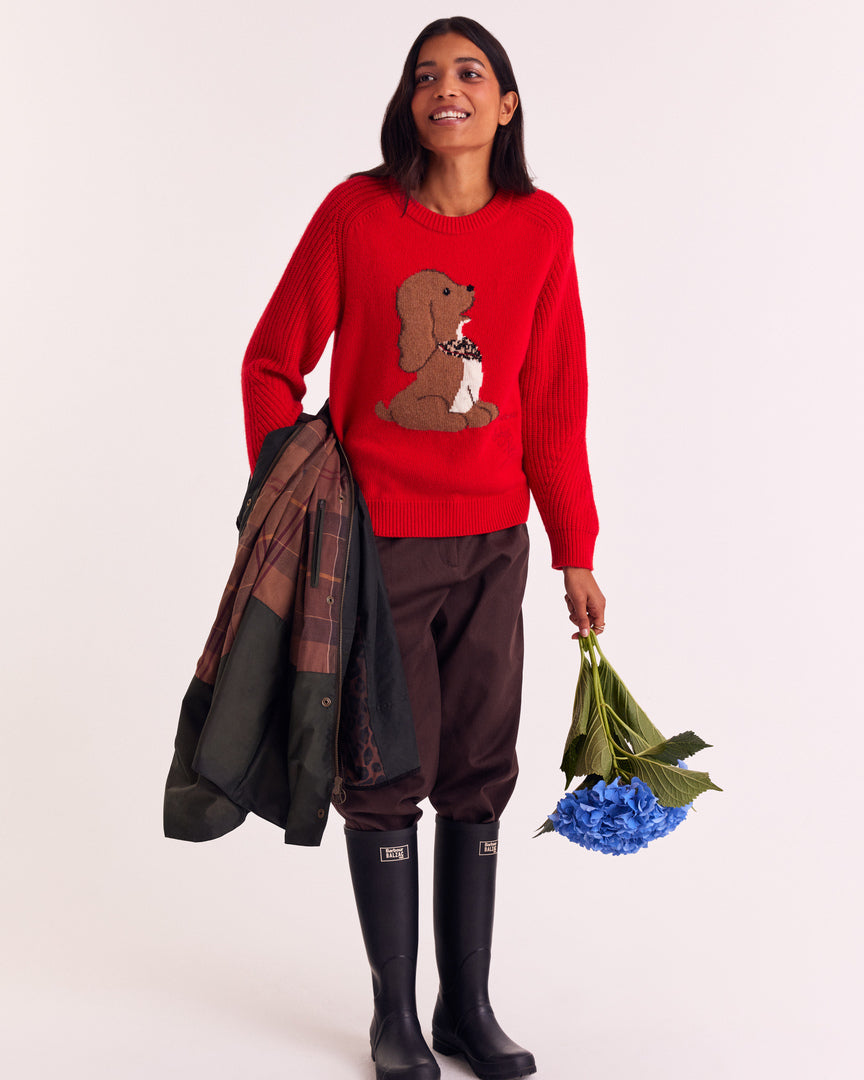 Barbour x BP Red Doug Sweater